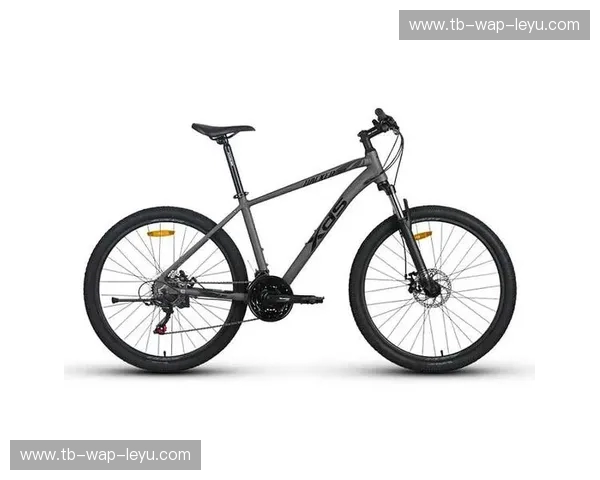 山地车分析:从构造到征途的全面解读